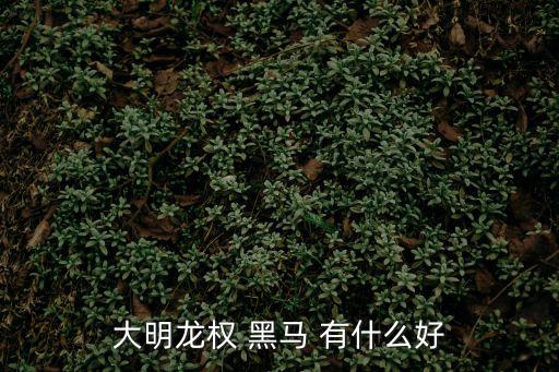 大明龙权 黑马 有什么好