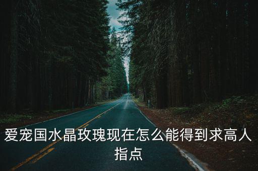 爱宠国水晶玫瑰现在怎么能得到求高人指点