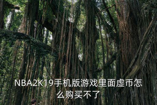 NBA2K19手机版游戏里面虚币怎么购买不了