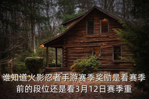 火影忍者手游大选结果怎么看，火影忍者手游买的礼包在哪里看