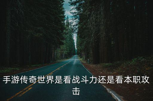 手游传奇世界是看战斗力还是看本职攻击
