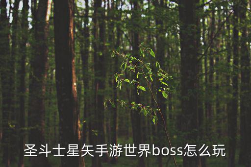 圣斗士星矢手游世界boss怎么玩