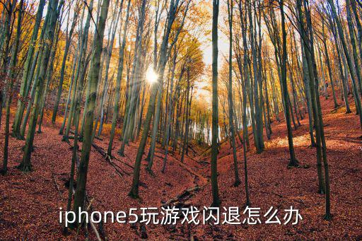 iphone5玩游戏闪退怎么办