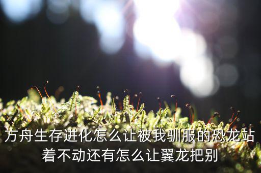 方舟生存进化怎么让被我驯服的恐龙站着不动还有怎么让翼龙把别