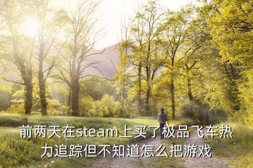 前两天在steam上买了极品飞车热力追踪但不知道怎么把游戏