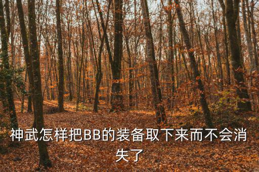 神武怎样把BB的装备取下来而不会消失了