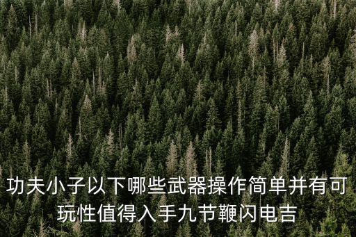 功夫小子以下哪些武器操作简单并有可玩性值得入手九节鞭闪电吉