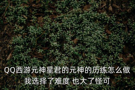 QQ西游元神星君的元神的历练怎么做我选择了难度 也大了怪可