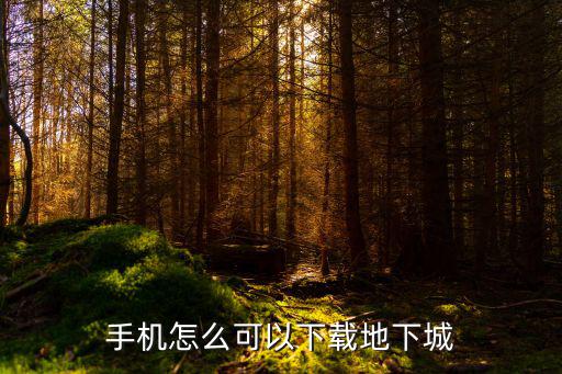 手机怎么可以下载地下城