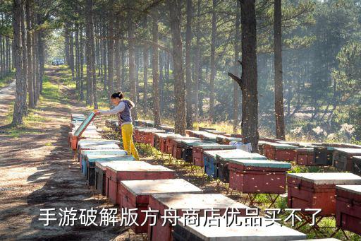 方舟手游电池怎么买不了，手游破解版方舟商店优品买不了
