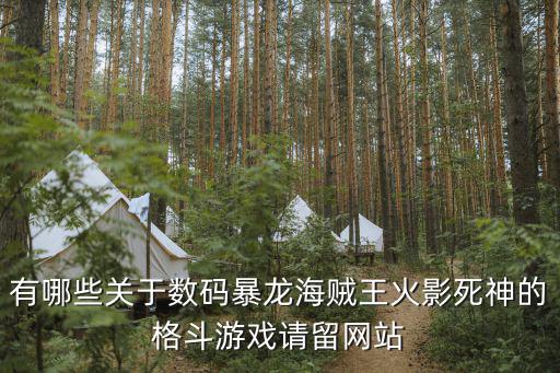 有哪些关于数码暴龙海贼王火影死神的格斗游戏请留网站