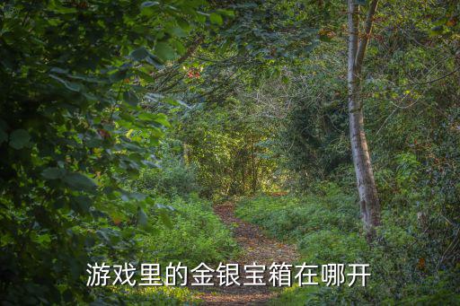 宏图之地手游怎么开宝箱，开启新手宝箱