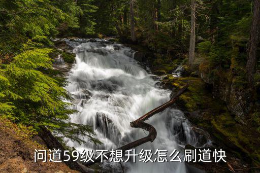 问道59级不想升级怎么刷道快