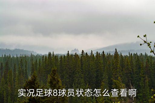 实况足球8球员状态怎么查看啊