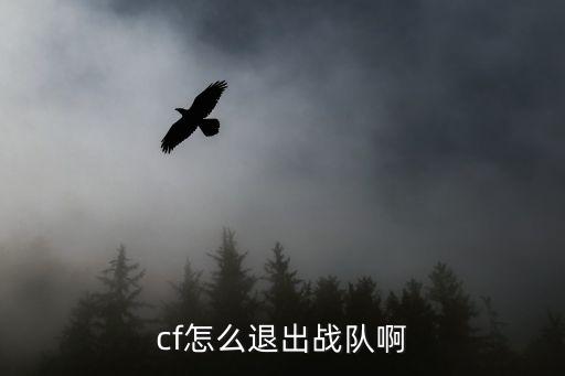 手游cf怎么退战队的，CF怎么退战队