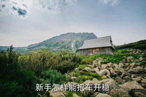 新手怎样能把车开稳