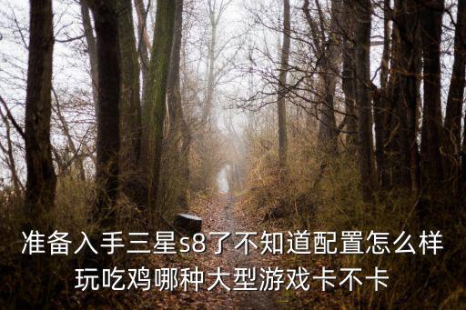 准备入手三星s8了不知道配置怎么样玩吃鸡哪种大型游戏卡不卡