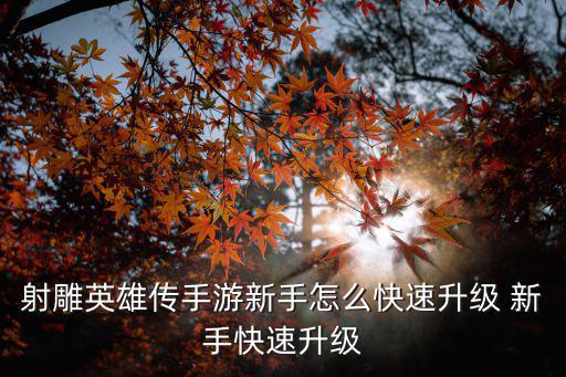 射雕英雄传手游中后期怎么玩，射雕英雄传手游新手怎么快速升级 新手快速升级