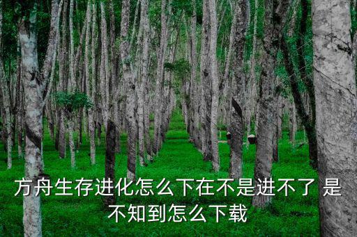 方舟生存进化怎么下在不是进不了 是不知到怎么下载