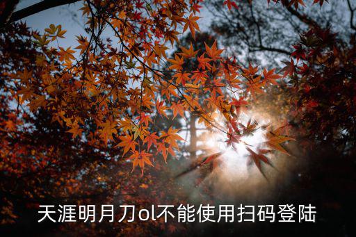 天涯明月刀ol不能使用扫码登陆