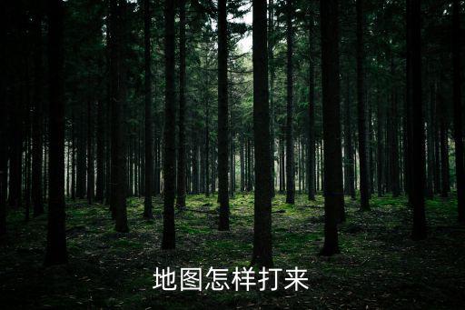 地图怎样打来