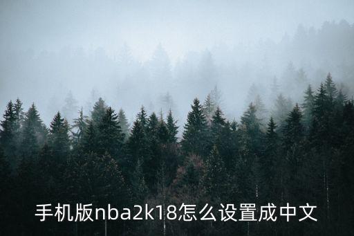 2k18手游中文版怎么调，NBA2k18安卓手机中文怎么调