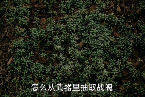 怎么从武器里抽取战魄