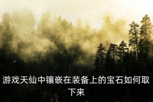 游戏天仙中镶嵌在装备上的宝石如何取下来