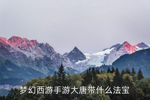 梦幻手游大唐飞剑怎么玩，梦幻西游手游大唐带什么法宝