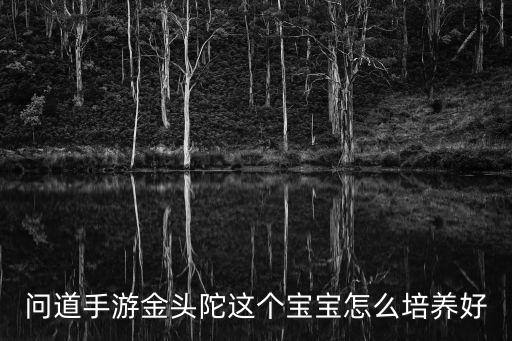 问道手游金头陀这个宝宝怎么培养好