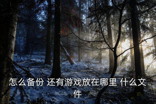 怎么备份 还有游戏放在哪里 什么文件