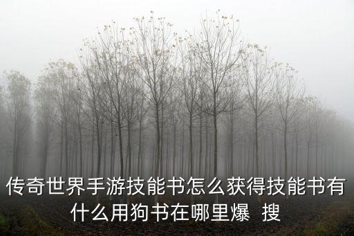 传奇世界手游技能书怎么获得技能书有什么用狗书在哪里爆  搜