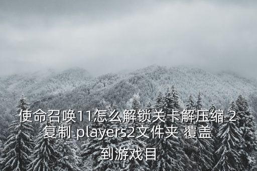 使命召唤11怎么解锁关卡解压缩 2复制 players2文件夹 覆盖到游戏目