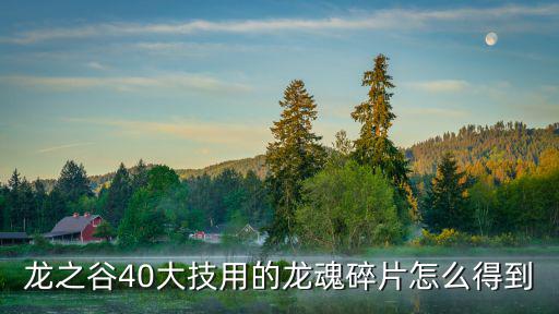 龙之谷40大技用的龙魂碎片怎么得到