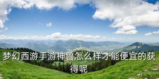 梦幻西游手游神兽怎么样才能便宜的获得呢
