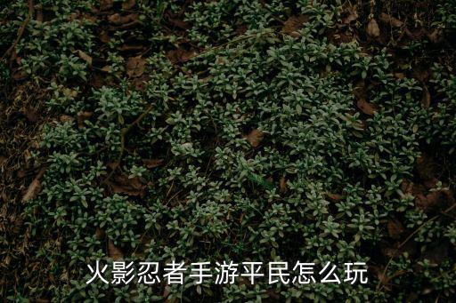 火影忍者手游平民怎么玩