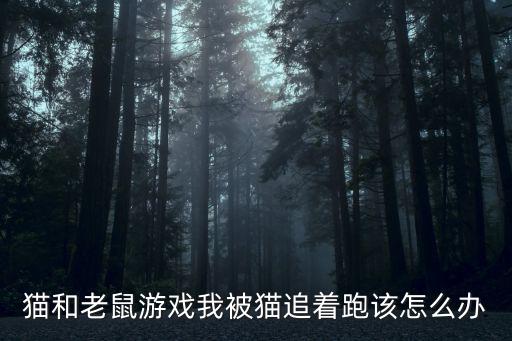 猫和老鼠游戏我被猫追着跑该怎么办