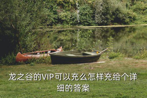 龙之谷手游怎么代充，龙之谷的VIP可以充么怎样充给个详细的答案