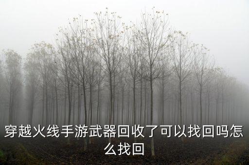 cf手游分解武器怎么查，穿越火线手游武器回收了可以找回吗怎么找回