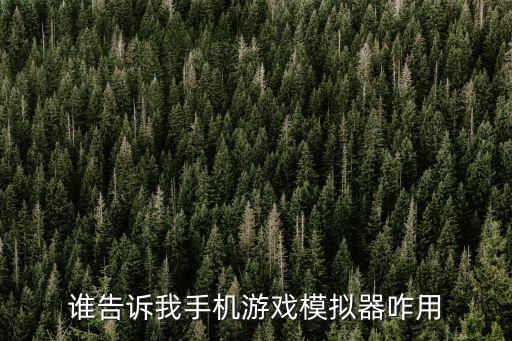 谁告诉我手机游戏模拟器咋用