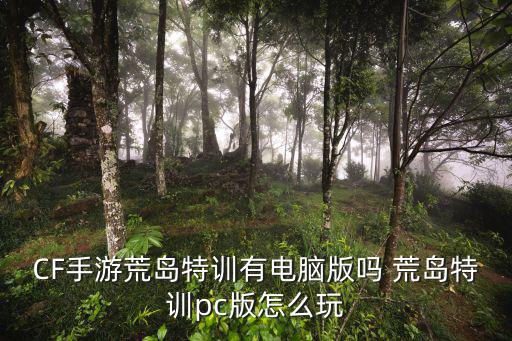 CF手游荒岛特训有电脑版吗 荒岛特训pc版怎么玩