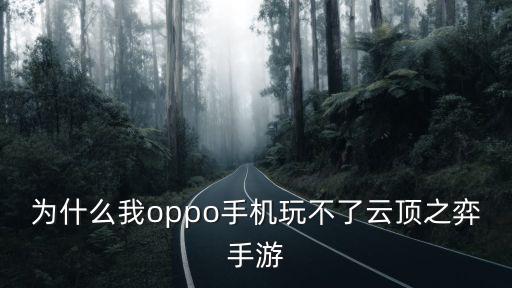 手游云顶之弈无响应怎么解决，为什么我oppo手机玩不了云顶之弈手游