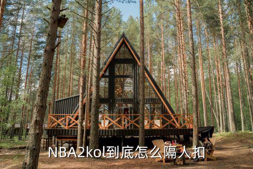 NBA2kol到底怎么隔人扣