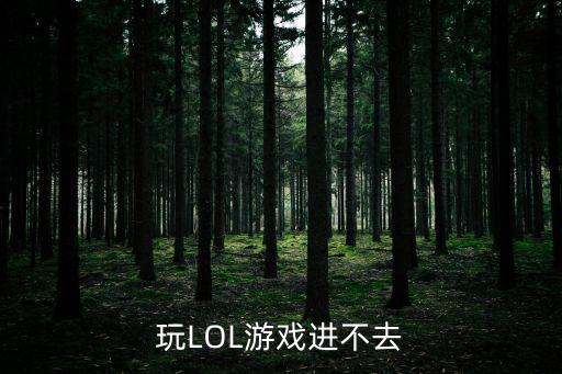 玩LOL游戏进不去