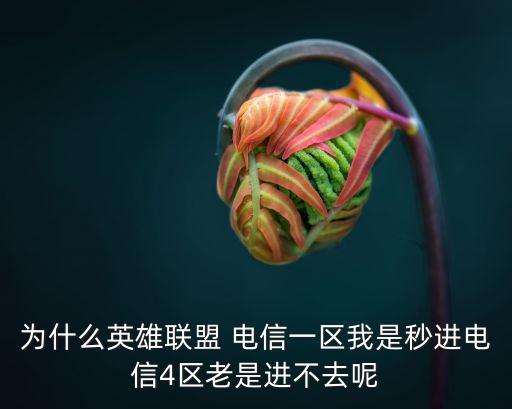 为什么英雄联盟 电信一区我是秒进电信4区老是进不去呢