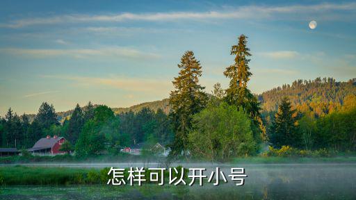 巨兽战场手游怎么开小号，小号怎么弄啊