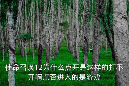 怎么打不开使命召唤手游，使命召唤游戏进不去帮忙解决一下