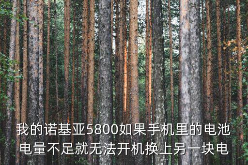 手游薇恩净化手感怎么样，我的诺基亚5800如果手机里的电池电量不足就无法开机换上另一块电