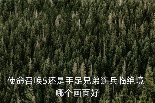 使命召唤手游剑怎么得，使命召唤6联机自定义武器怎么才能手中握刀
