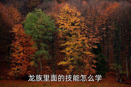龙族里面的技能怎么学